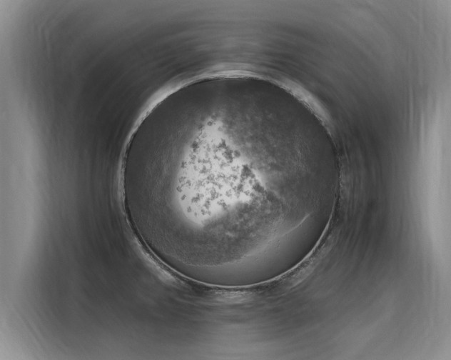 X0000116051382200911271209