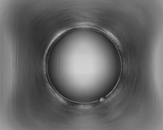 X0000116051384200911271209