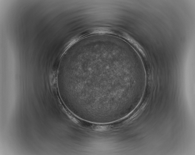 X0000116051385200911271209