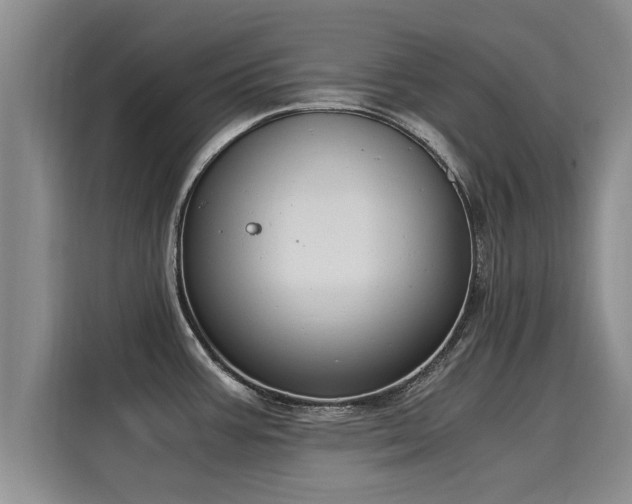 X0000116051387200911271209