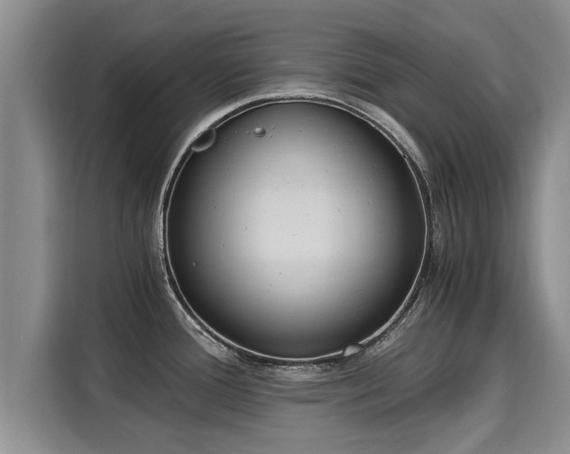 X0000116051388200911271209