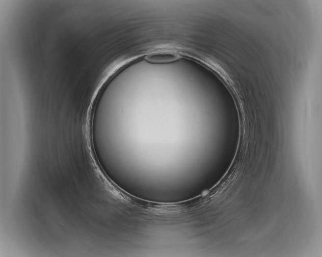 X0000116051392200911271209