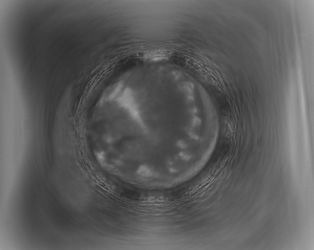 X0000116051393200911271209