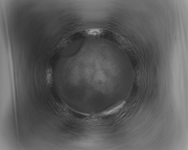 X0000116051394200911271209