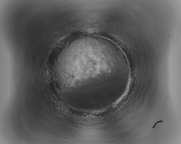 X0000116051398200911271209