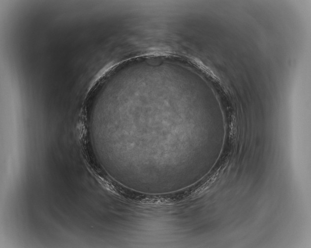 X0000116051400200911271209