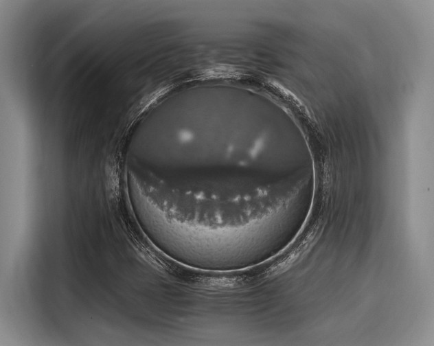 X0000116051401200911271209