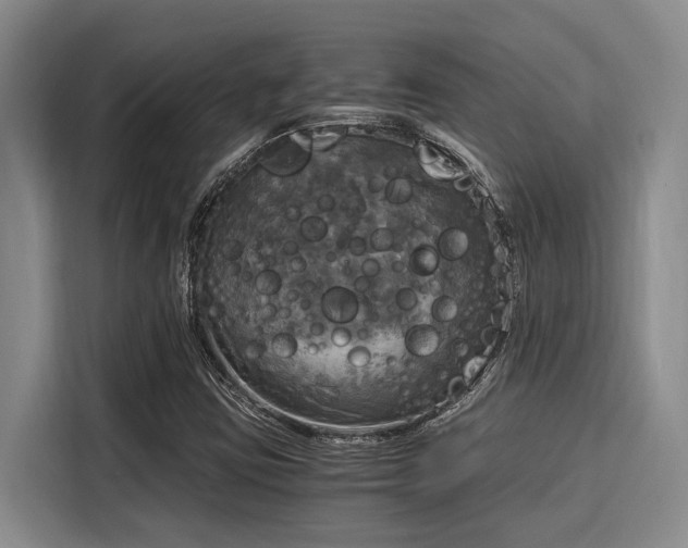 X0000116051403200911271209