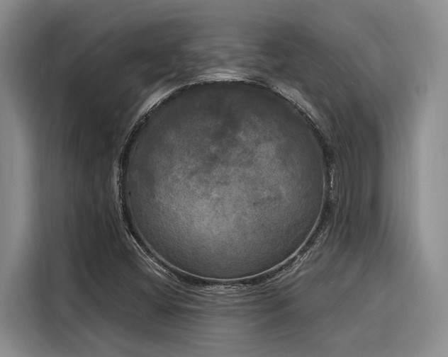 X0000116051404200911271209