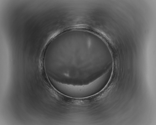 X0000116051405200911271209