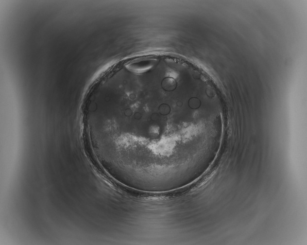 X0000116051406200911271209