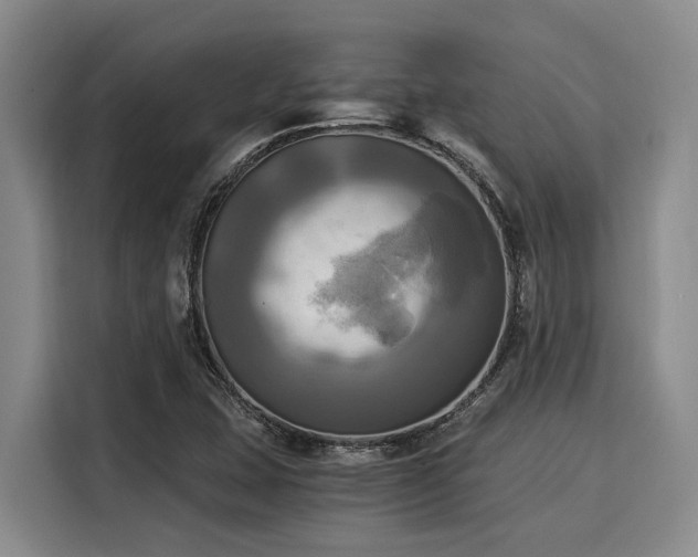 X0000116051407200911271209