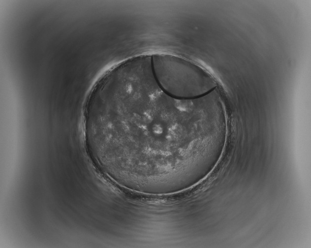 X0000116051408200911271209