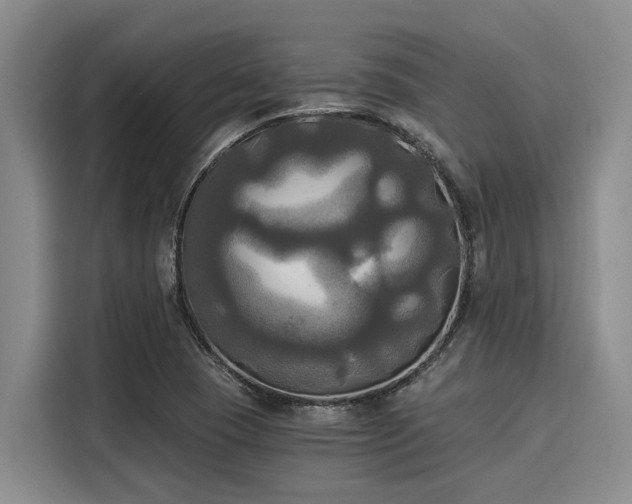 X0000116051409200911271209