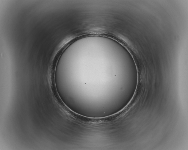X0000116051410200911271209