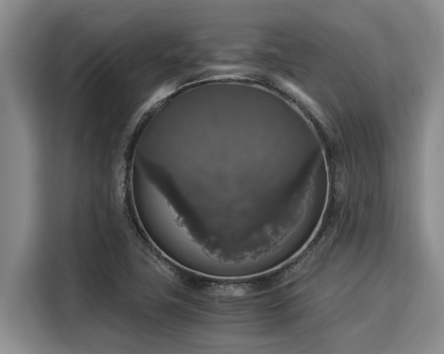 X0000116051411200911271209