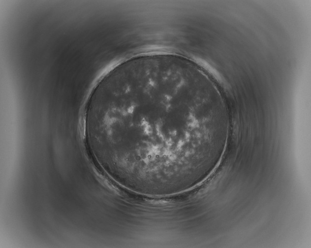 X0000116051413200911271209