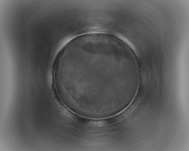 X0000116051415200911271209
