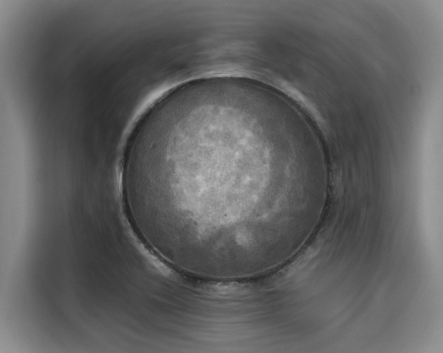 X0000116051416200911271209
