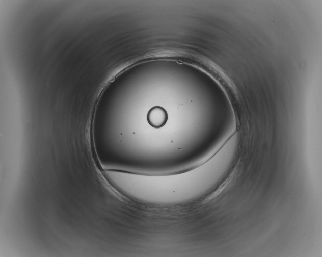 X0000116051417200911271209