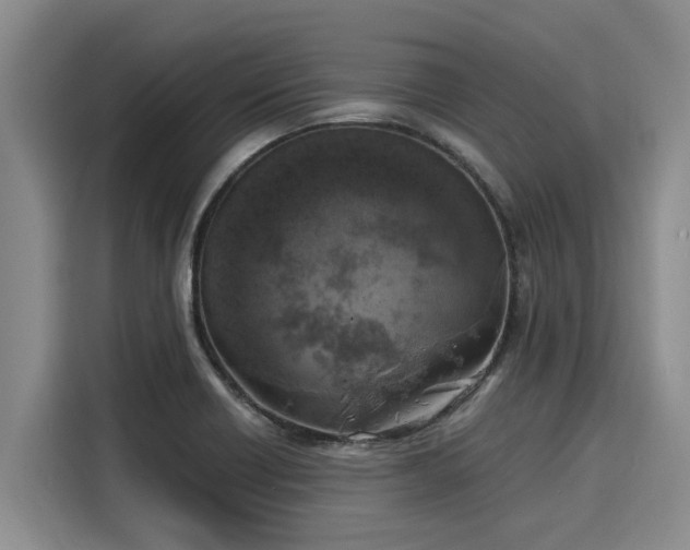 X0000116051418200911271209