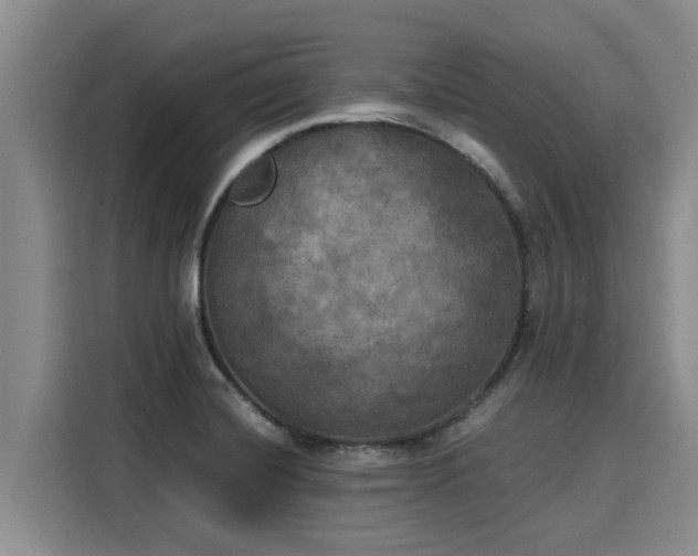 X0000116051420200911271209