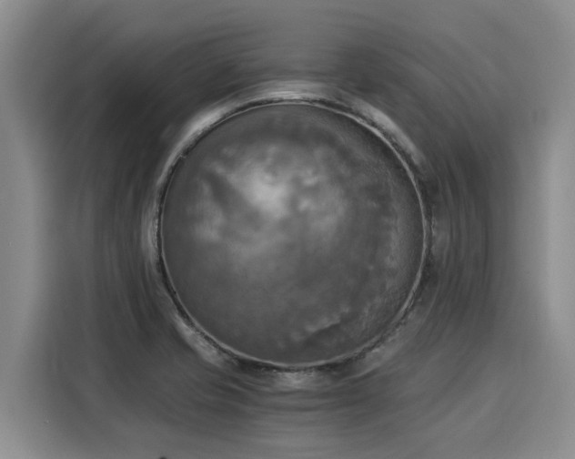 X0000116051421200911271209