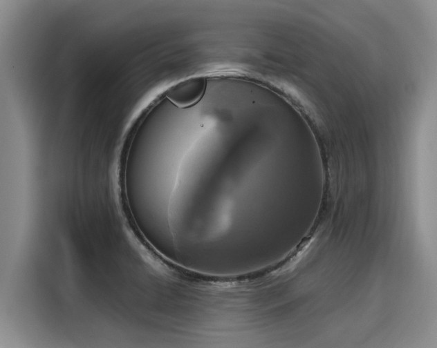 X0000116051422200911271209