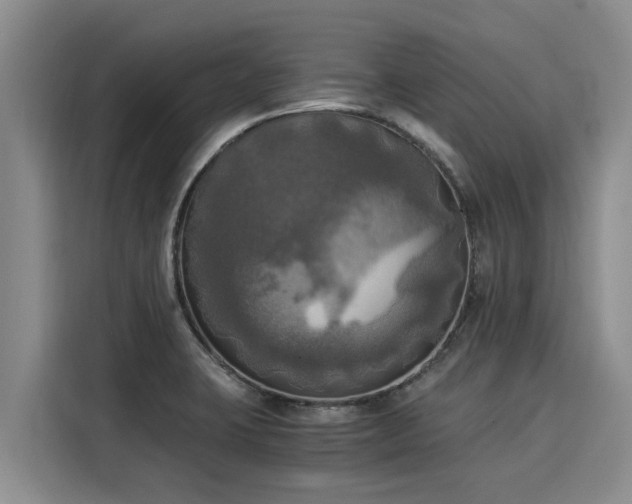 X0000116051423200911271209