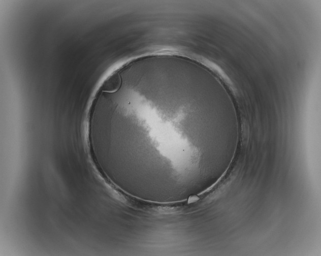 X0000116051424200911271209