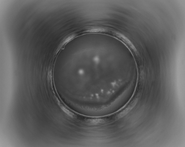 X0000116051425200911271209