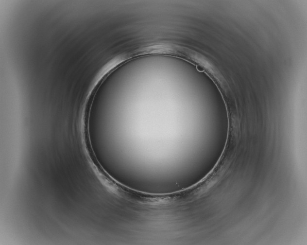 X0000116051426200911271209