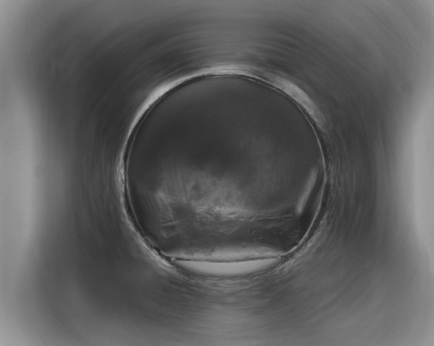 X0000116051428200911271209