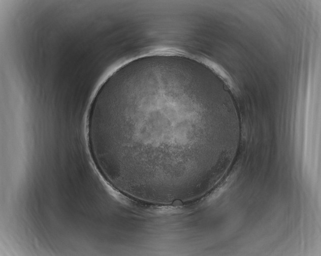 X0000116051430200911271209