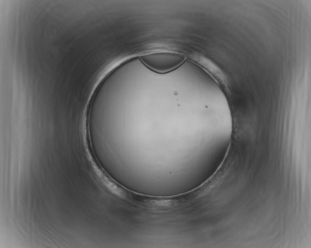 X0000116051431200911271209