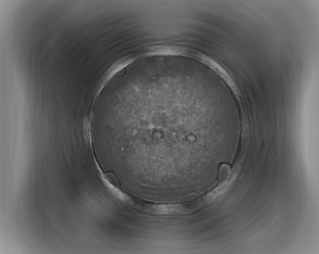 X0000116051433200911271209