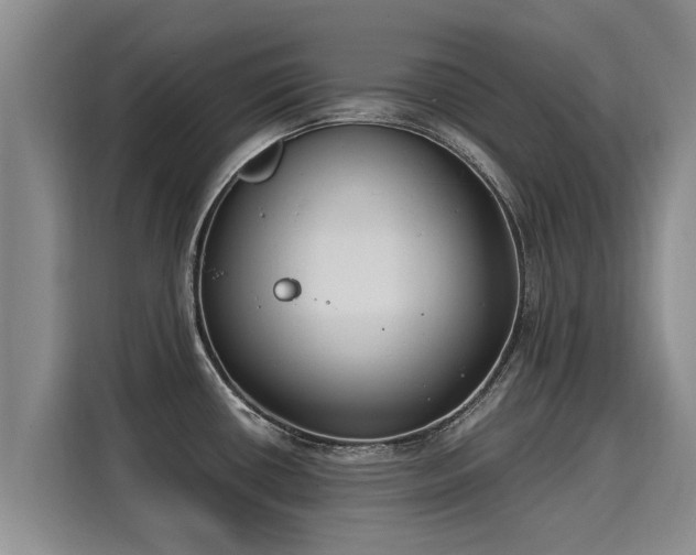 X0000116051434200911271209