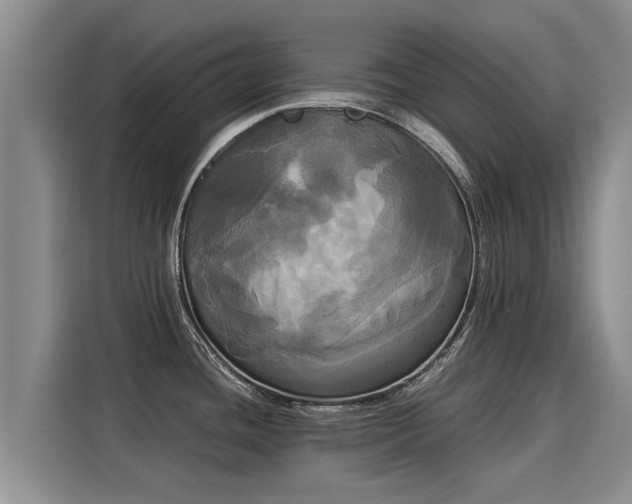 X0000116051436200911271209