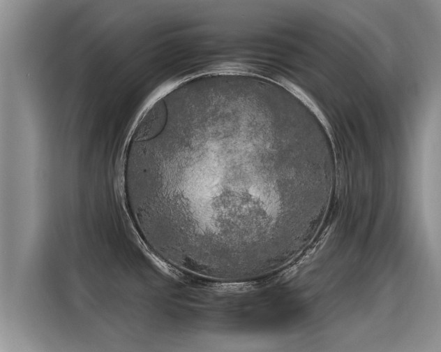 X0000116051437200911271209
