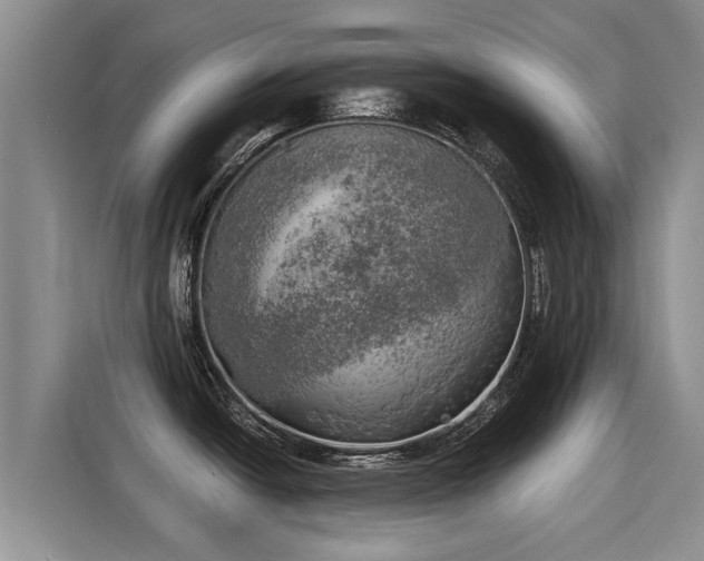 X0000116051438200911271209