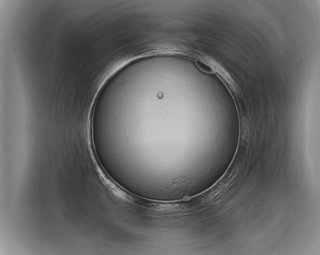 X0000116051439200911271209