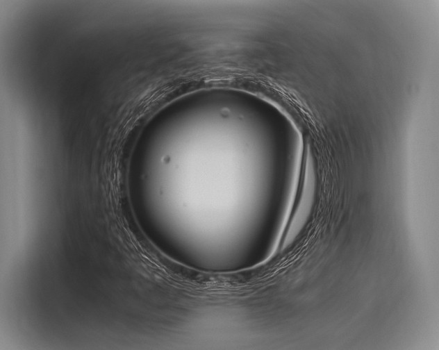 X0000116051445200911271208