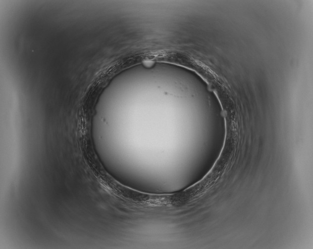 X0000116051447200911271208