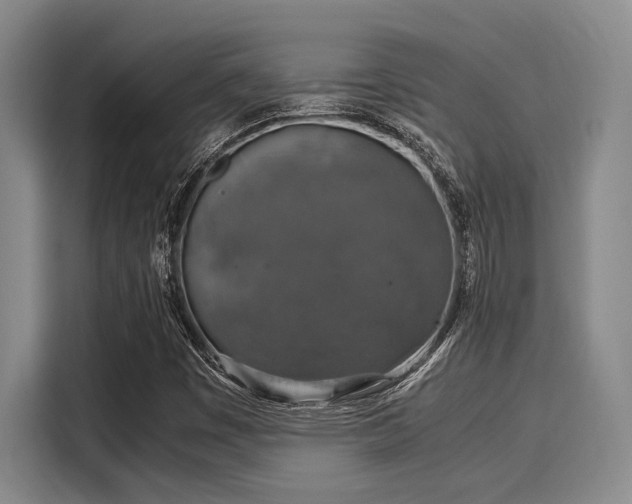 X0000116051449200911271208