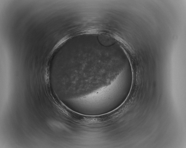X0000116051450200911271208