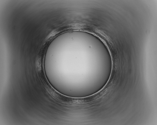 X0000116051451200911271208