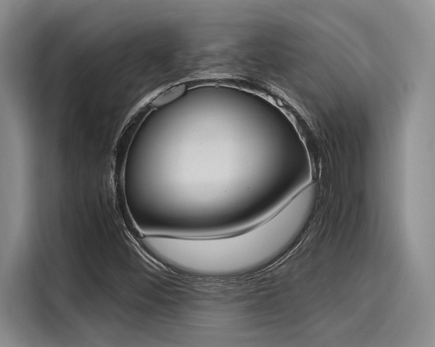 X0000116051452200911271208