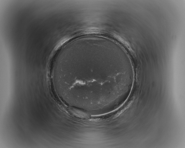 X0000116051453200911271208