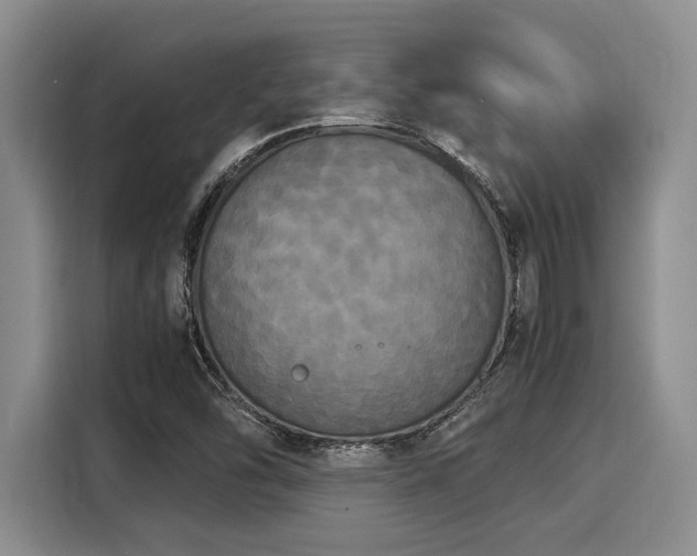 X0000116051454200911271208