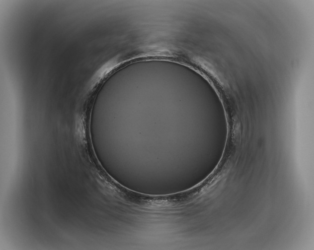 X0000116051455200911271208